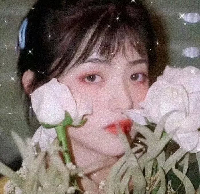 女黑侠木兰花粤语